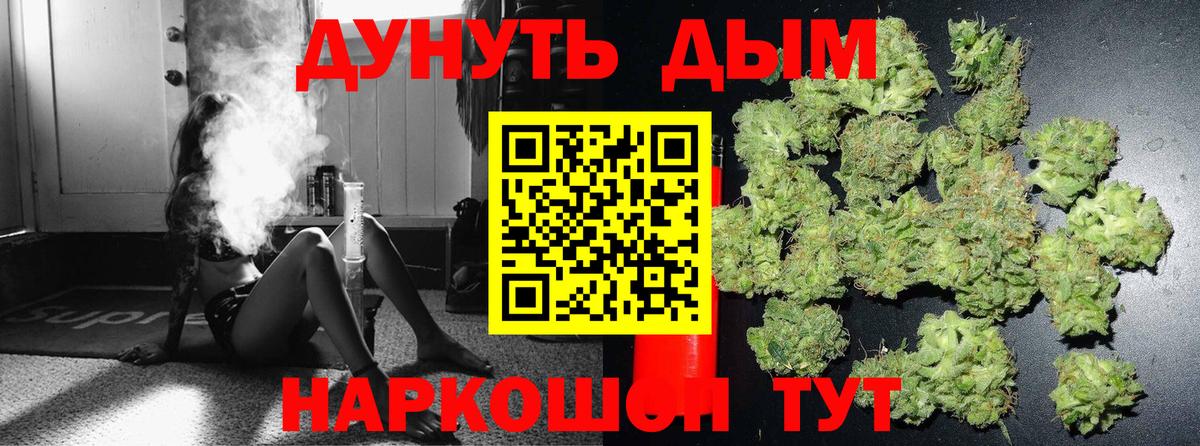 Бошки марихуана ГИДРОПОН  Бошки Шишки ГИДРОПОН  Киселёвск  Вход с VPN  Бошки марихуана THC 21% 